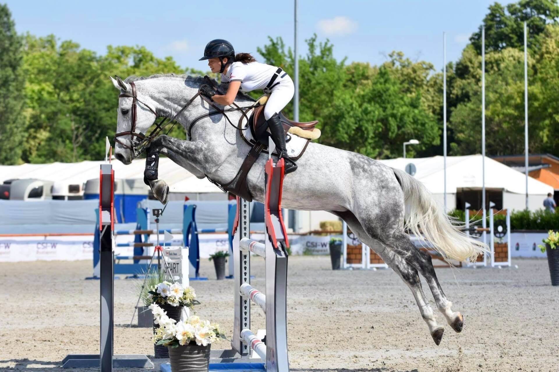 Havens magyarországi referencia