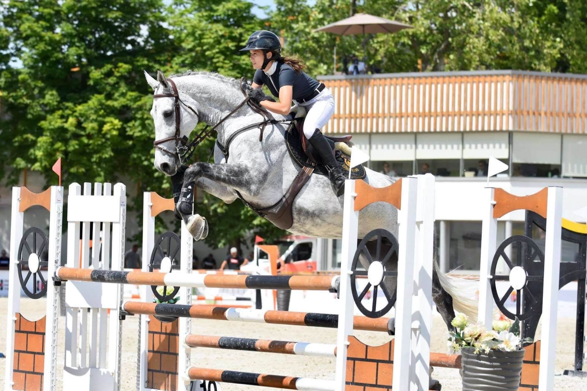 Havens magyarországi referencia