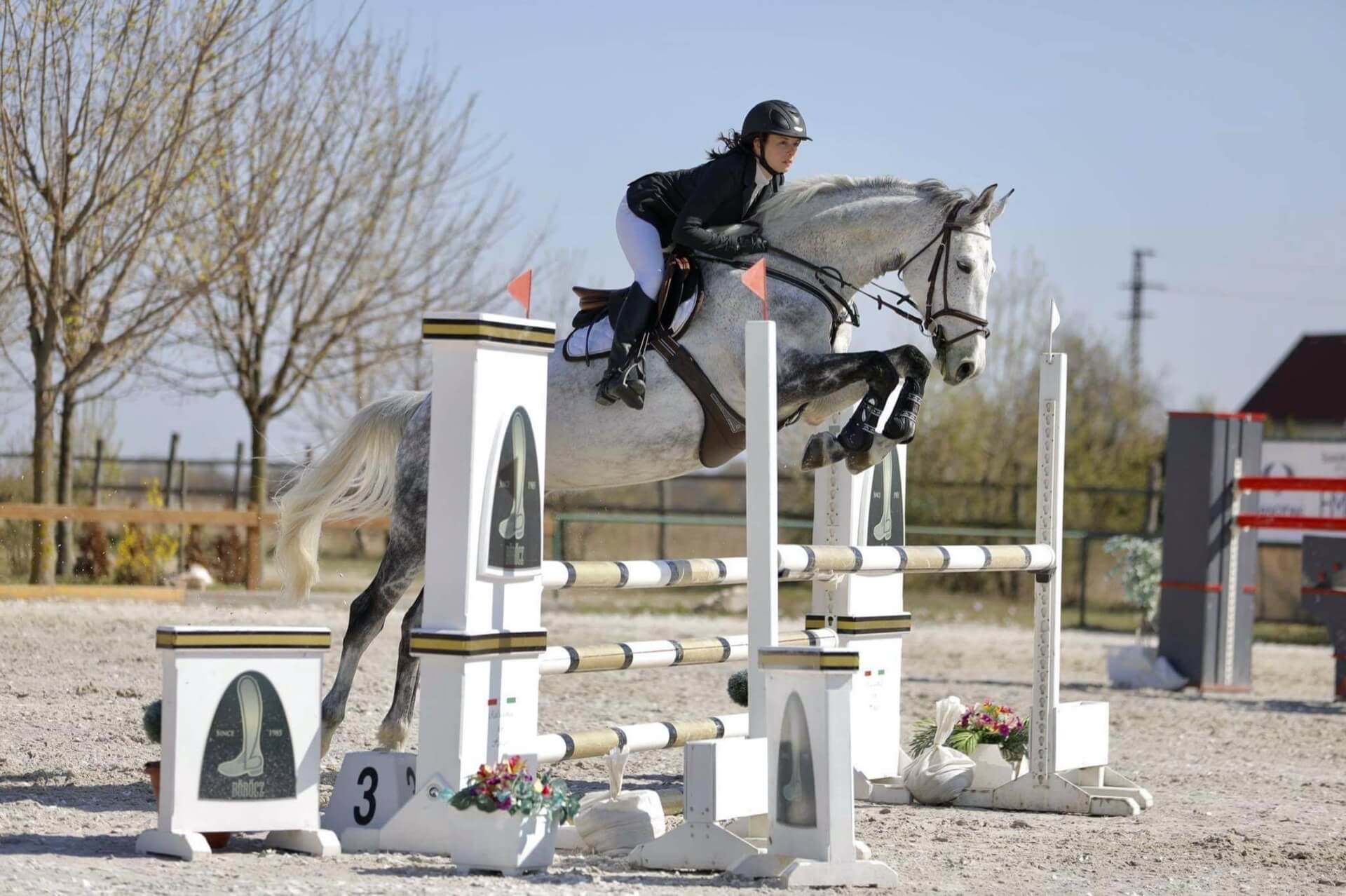 Havens magyarországi referencia