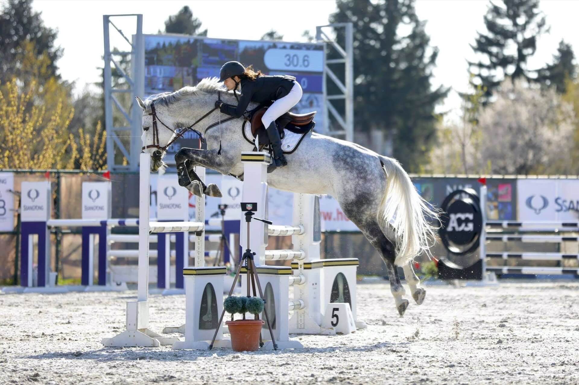 Havens magyarországi referencia