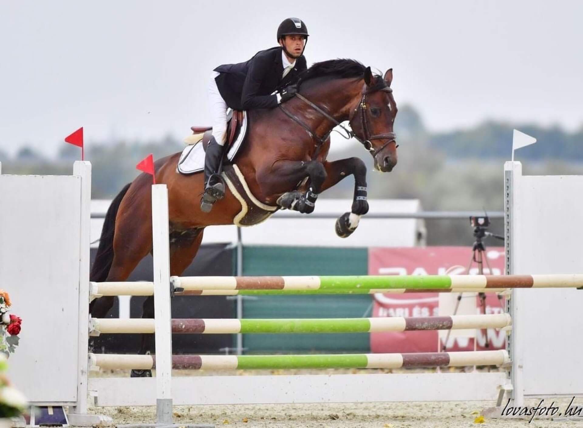 Havens magyarországi referencia