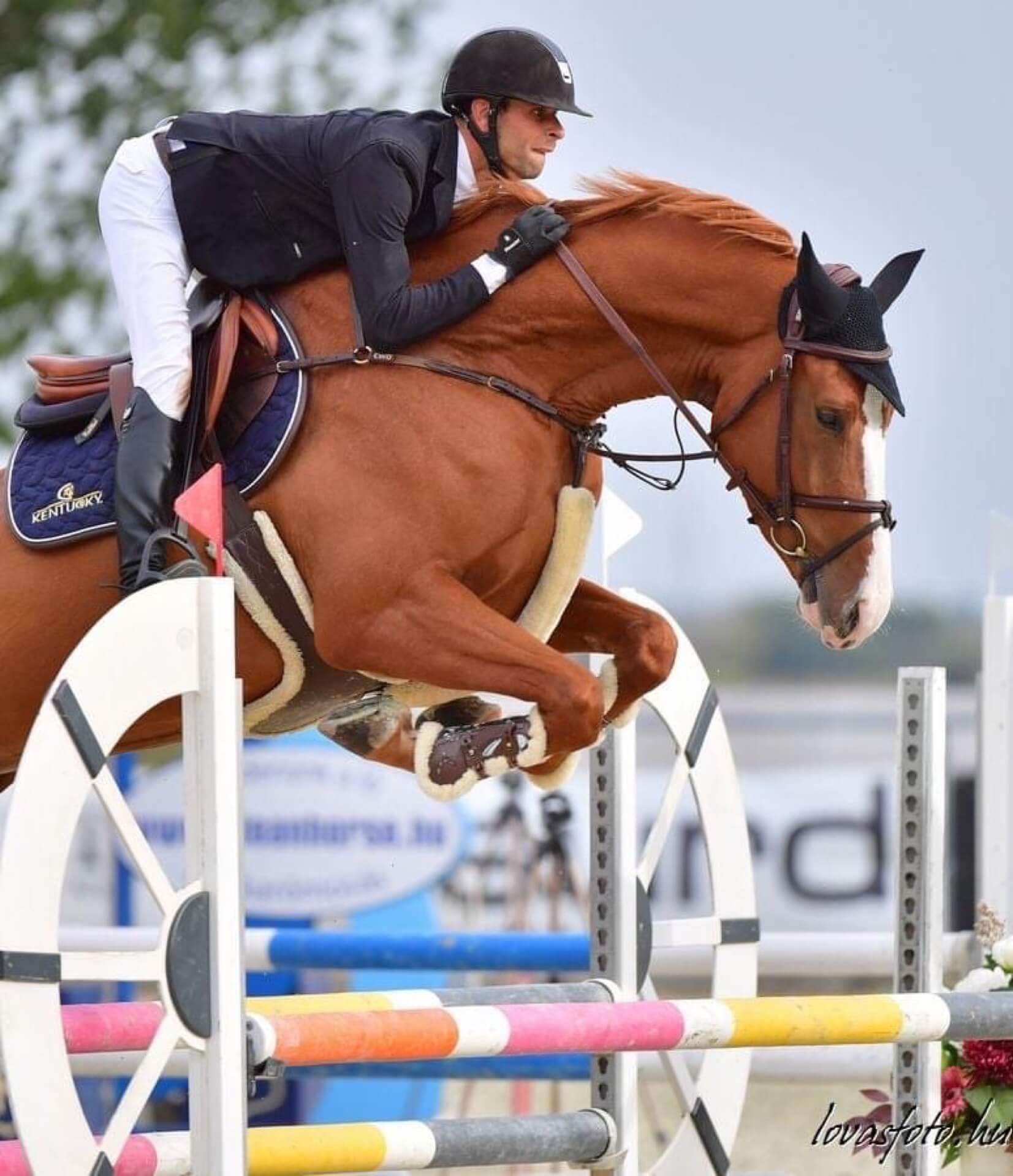 Havens magyarországi referencia