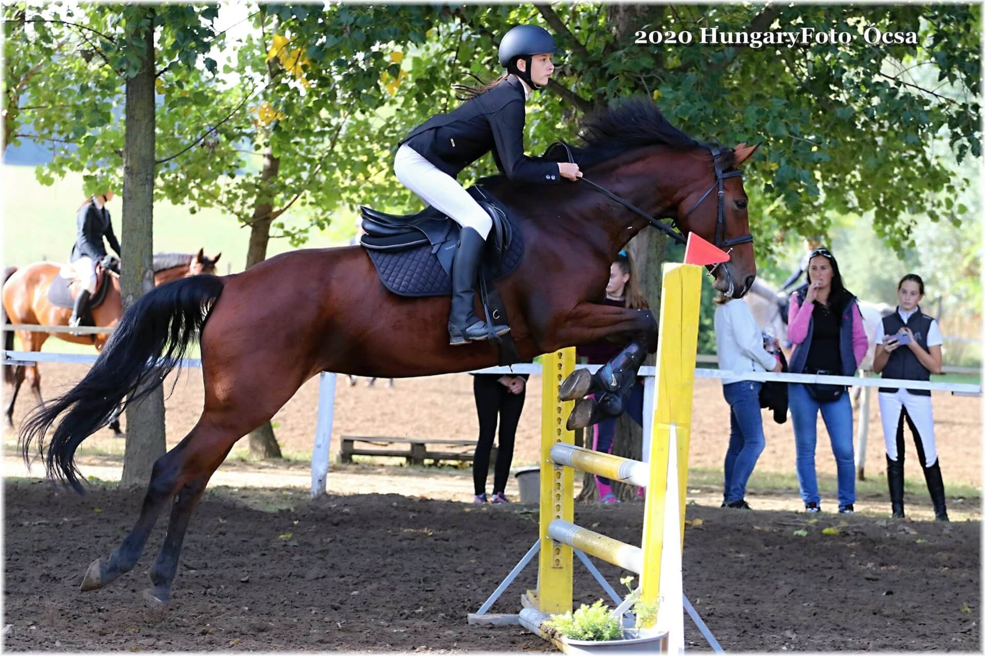 Havens magyarországi referencia