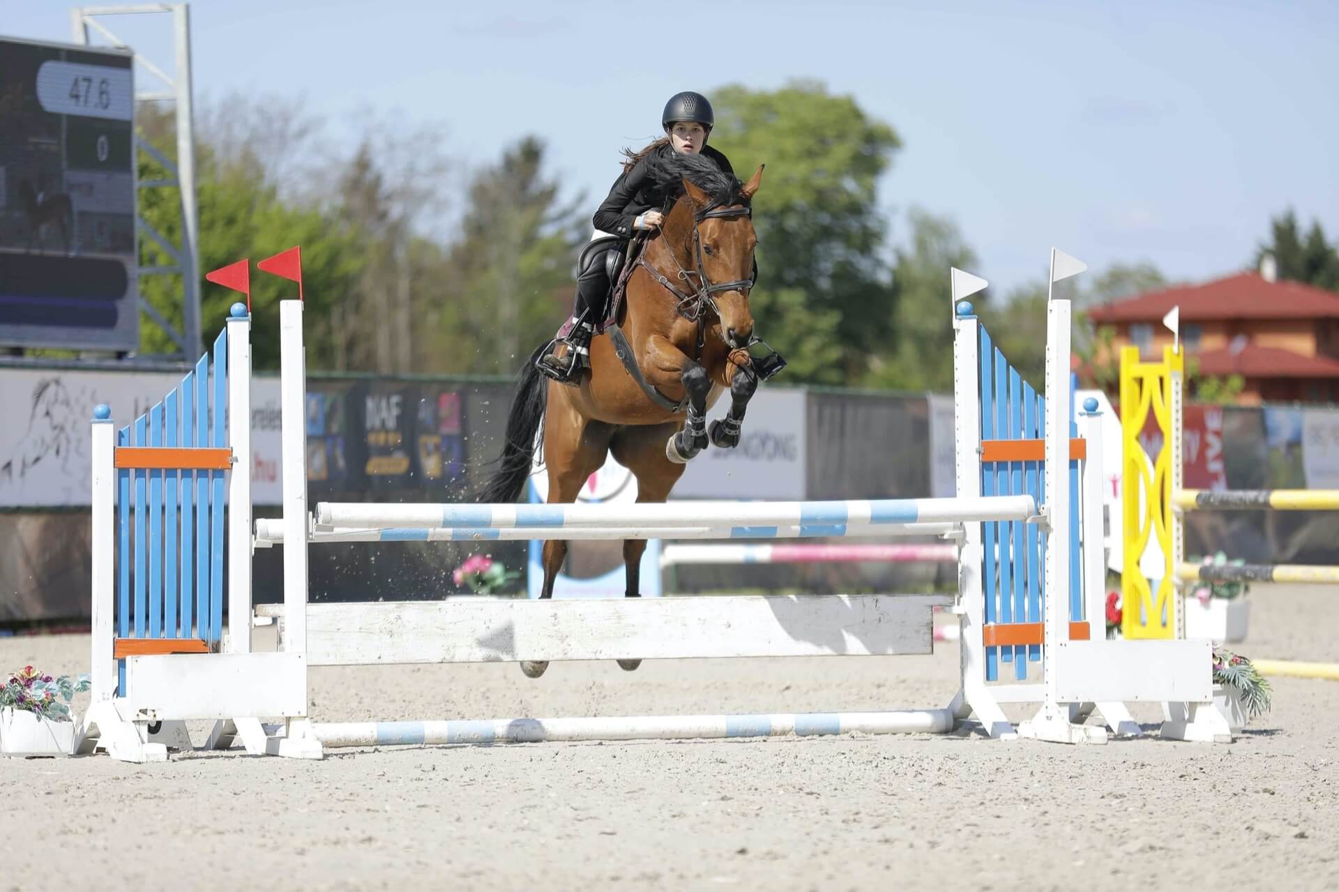 Havens magyarországi referencia