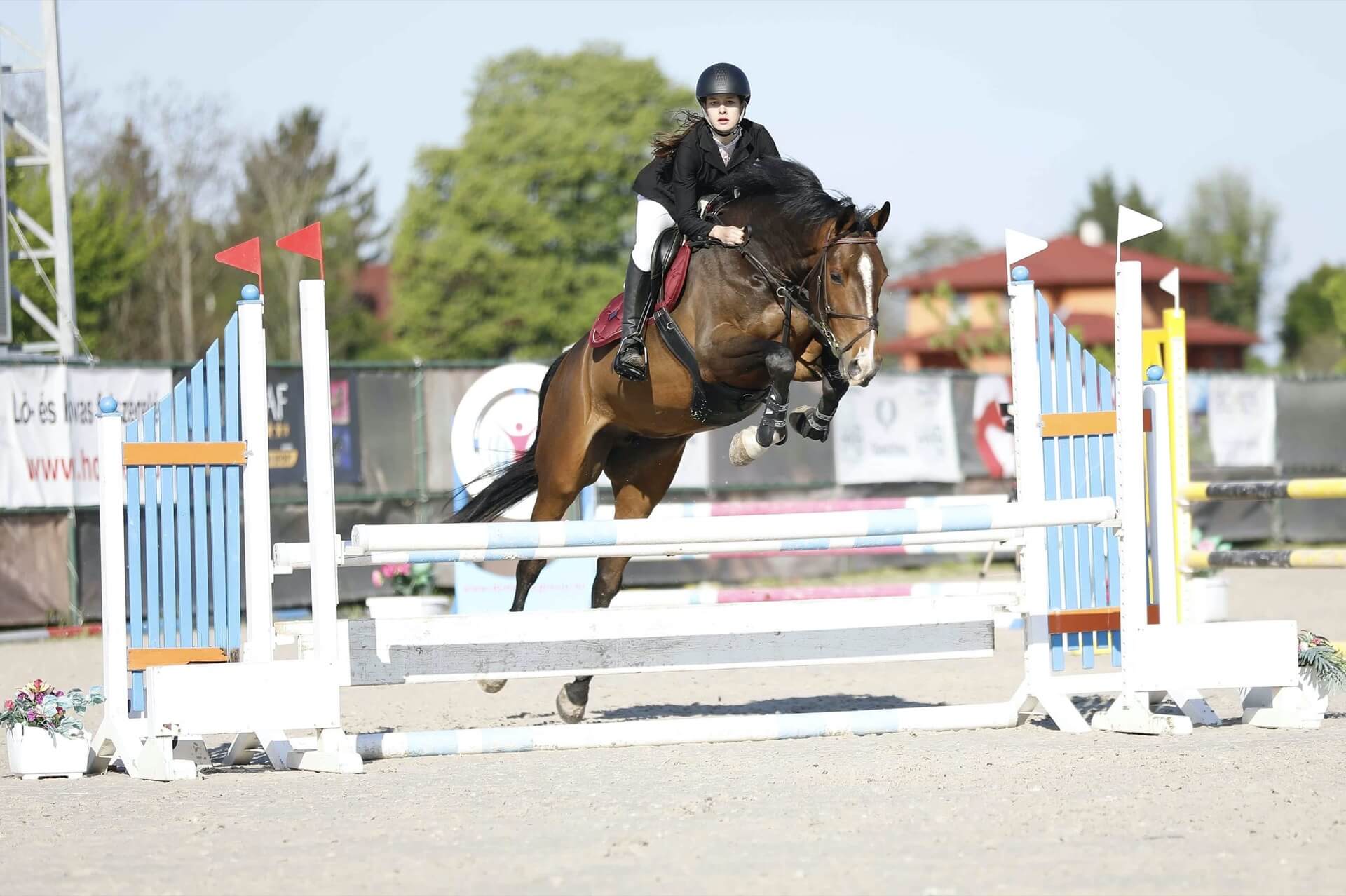 Havens magyarországi referencia