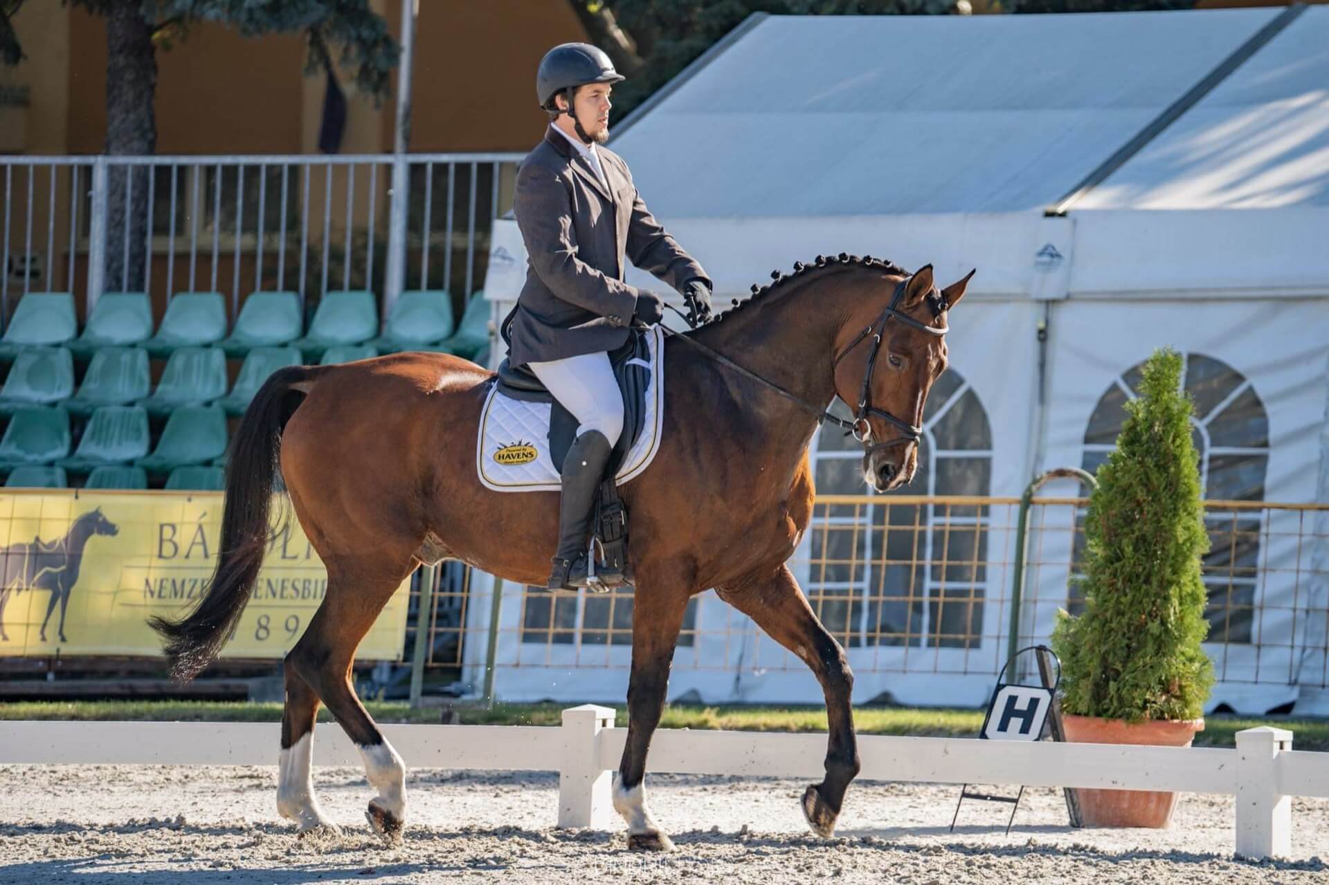 Havens magyarországi referencia