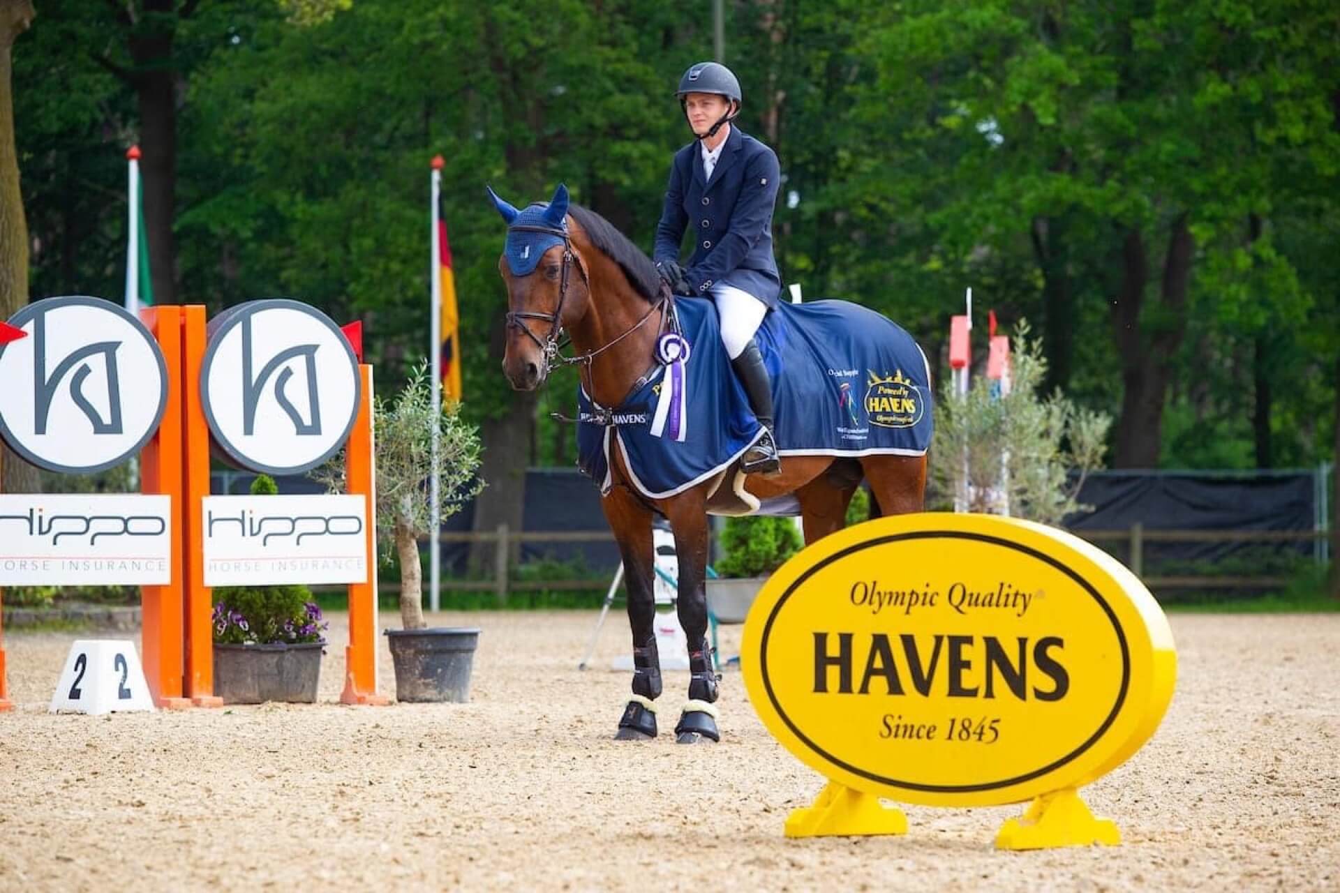 Havens nemzetközi referencia