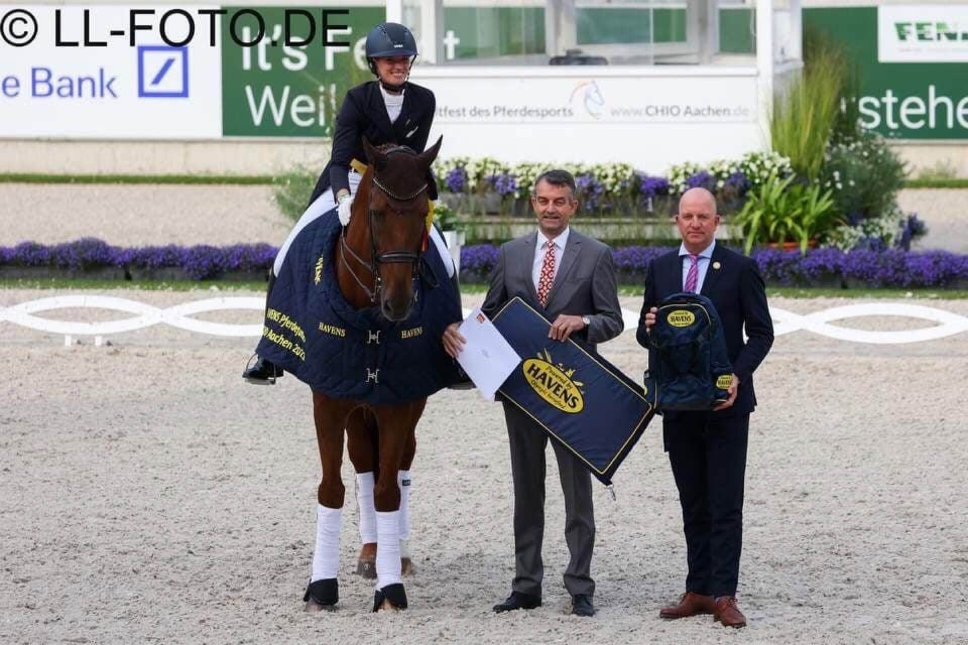 Havens nemzetközi referencia