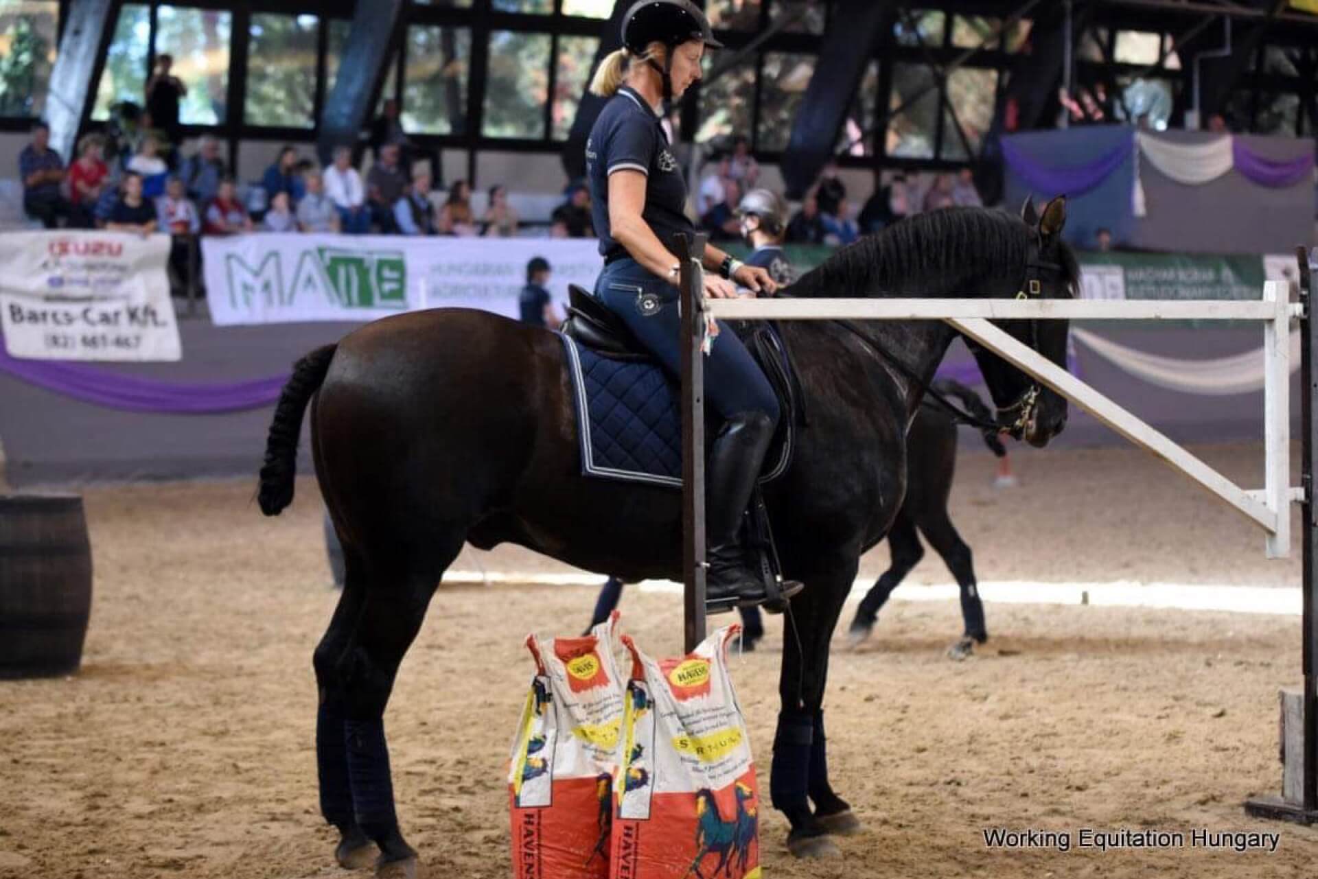 Havens magyarországi referencia